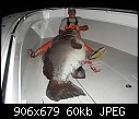 Click image for larger version

Name:	1 Grouper.jpg
Views:	3165
Size:	59.6 KB
ID:	856