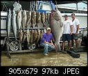 Click image for larger version

Name:	5 Grouper.jpg
Views:	2060
Size:	97.4 KB
ID:	857